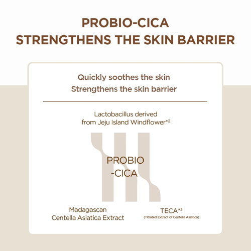 [SKIN1004] Madagascar Centella Probio-Cica Intensive Ampoule 95ml