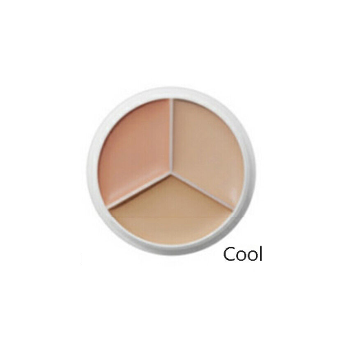 [TFIT] Cover Up Pro Concealer (3 colors)