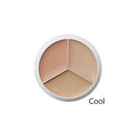 [TFIT] Cover Up Pro Concealer (3 colors)