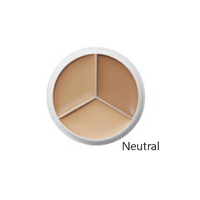 [TFIT] Cover Up Pro Concealer (3 colors)