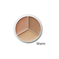 [TFIT] Cover Up Pro Concealer (3 colors)